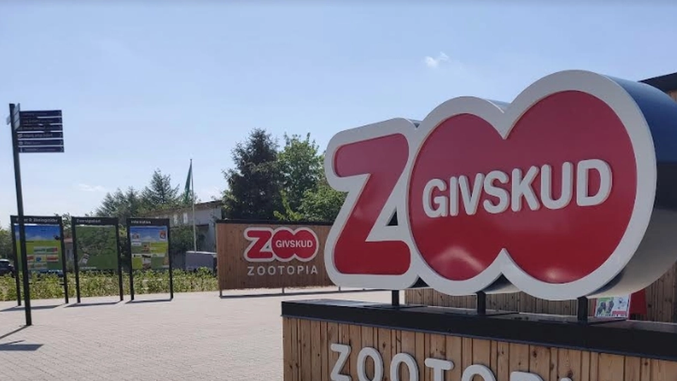 Du får 2 muligheder: Her kan du opleve det helt gratis i Givskud Zoo