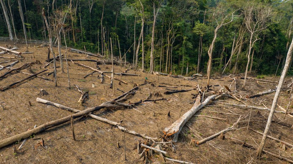 Rystende: Den 2. august har vi allerede brugt dette års ressourcer