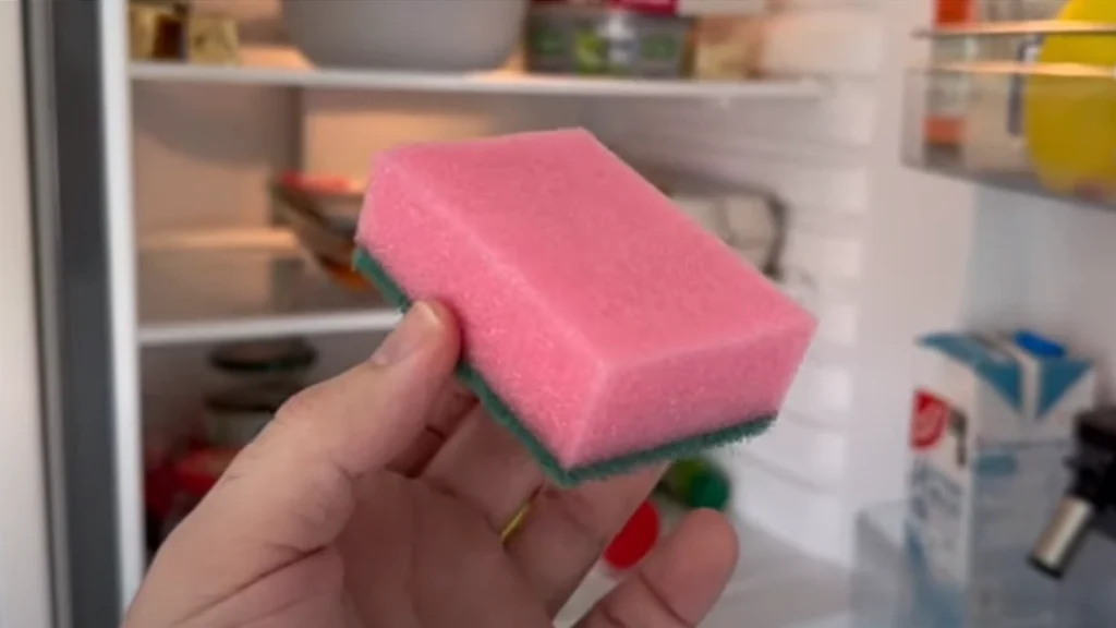 Kun få danskere ved det: Dette betyder farven på din køkkensvamp