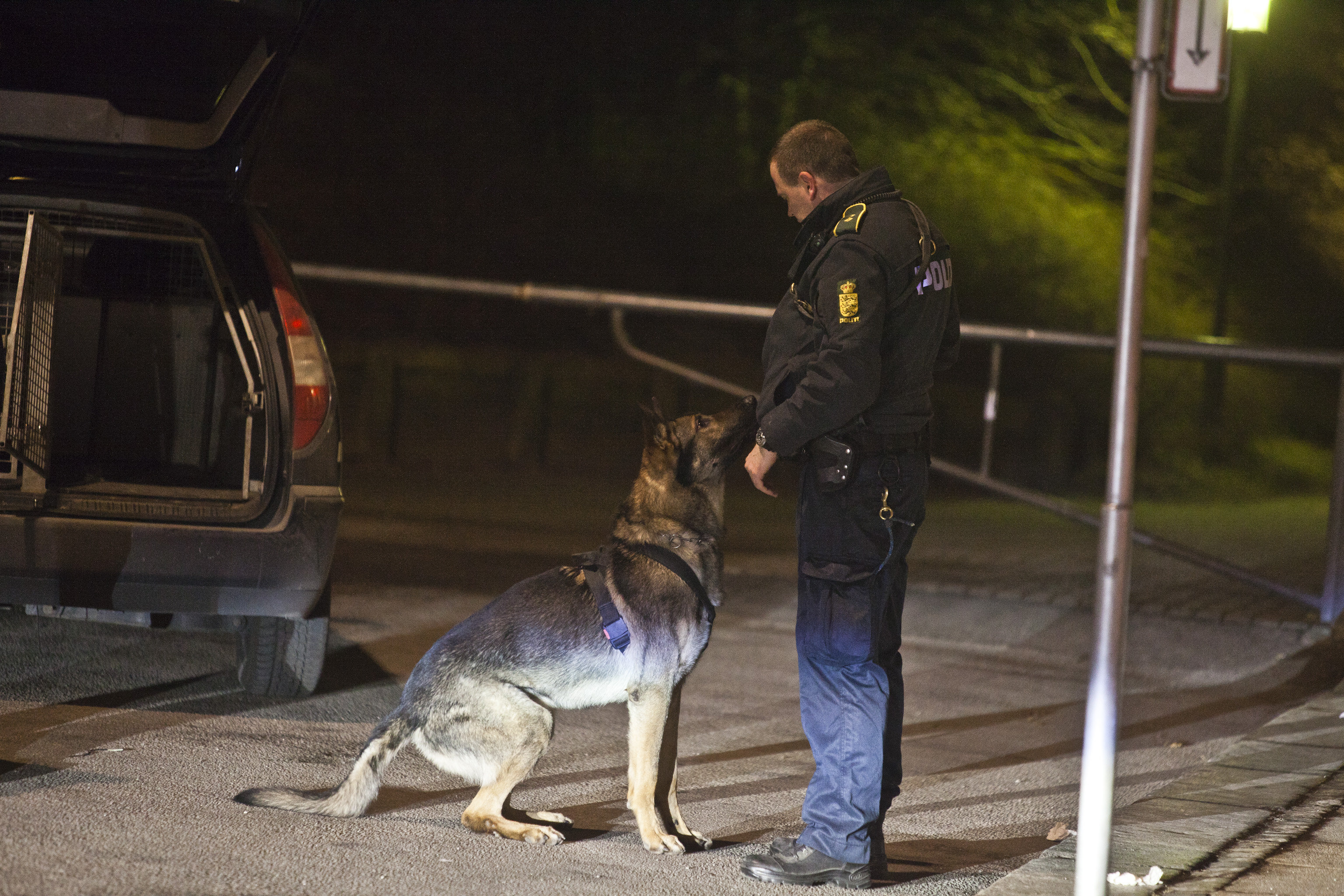 Mand stak af efter indbrud på skole: Så sladrede hans hund til politiet
