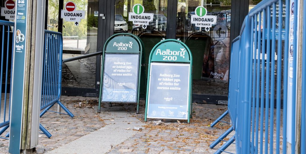 Aalborg Zoo har kæmpet for det i 8 år: Nu kan de langt om længe dele stor nyhed