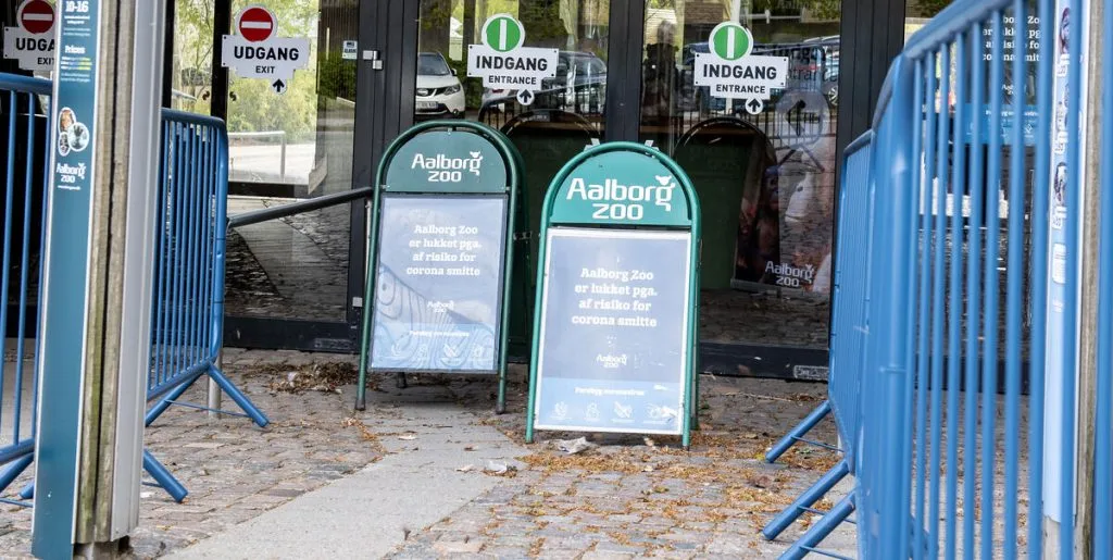 Aalborg Zoo har kæmpet for det i 8 år: Nu kan de langt om længe dele stor nyhed