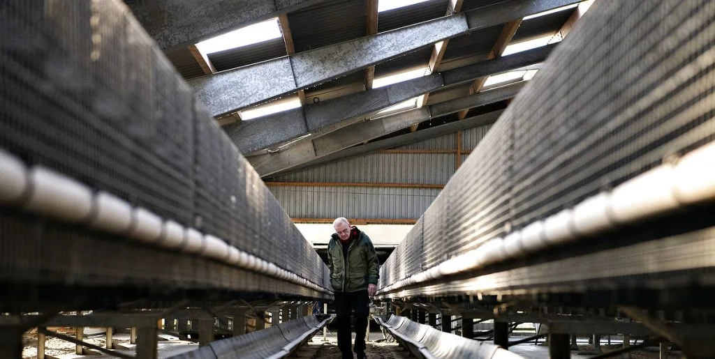 Nyt i minksagen: Minkkommissionen har bedt om at stoppe sletning af beskeder