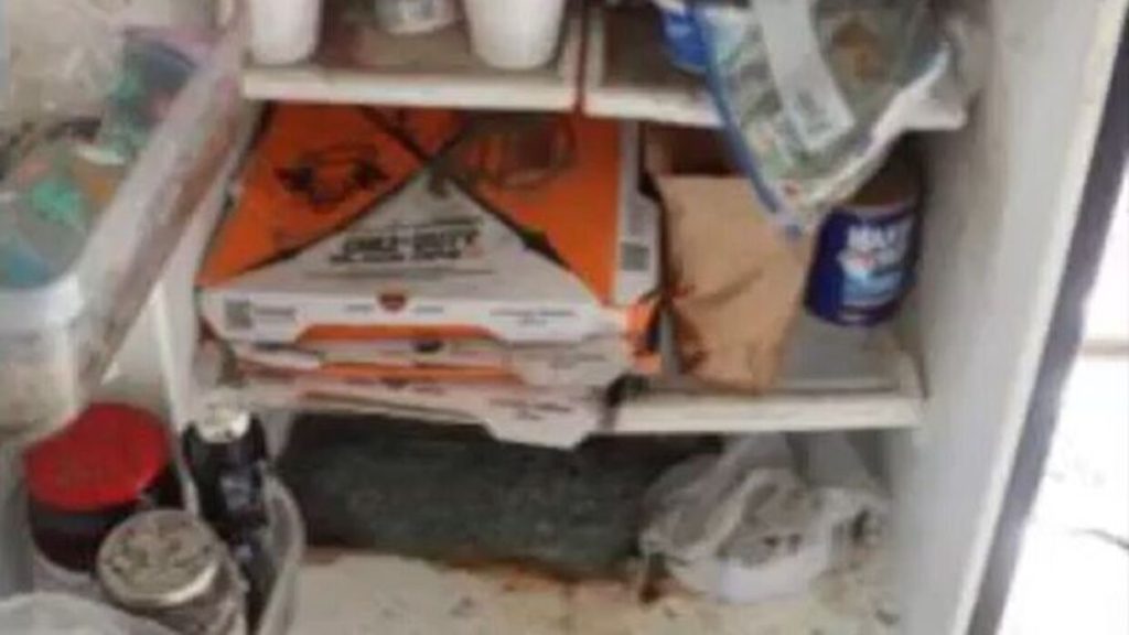 Politi gør rædselsfund i hus: Død hvalp i pizzabakke og 9-årig dreng midt i kaosset
