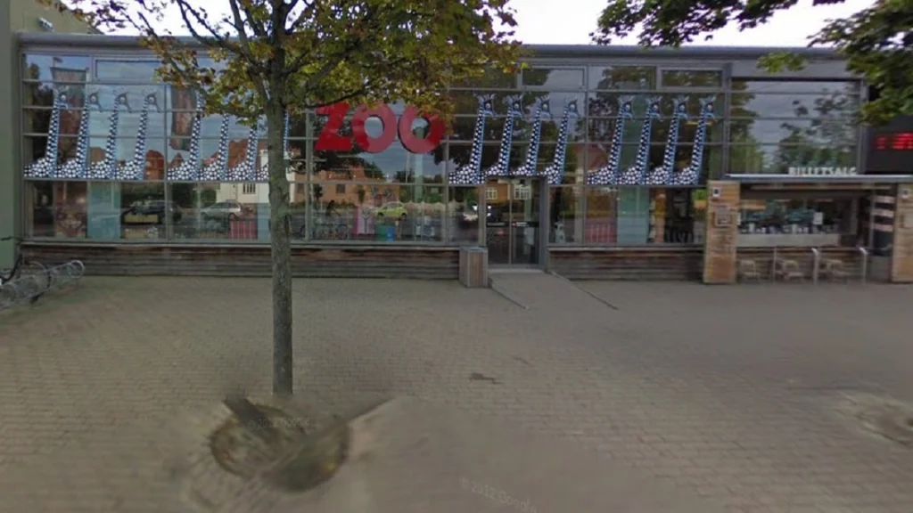 Sker for første gang siden 2021: Odense Zoo deler stor nyhed