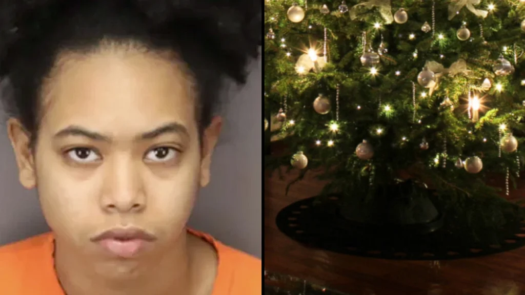 Så er julefreden forbi: 20-årig kvinde overfalder kæreste med juletræ