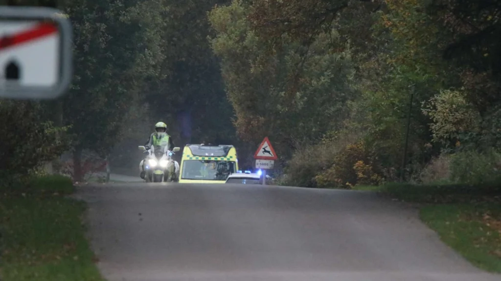 Den 25. oktober mistede 3 unge livet i alvorlig trafikulykke på Fyn: Nu deles chokerende nyt