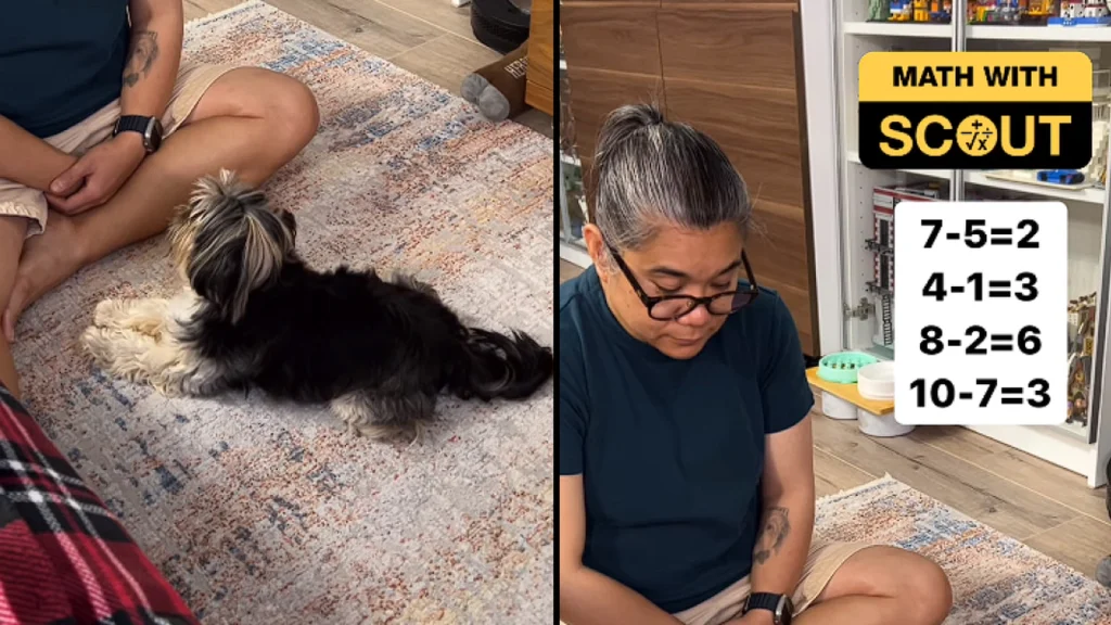 Folk er lamslået efter viral video: Hunden svarer matematiske spørgsmål