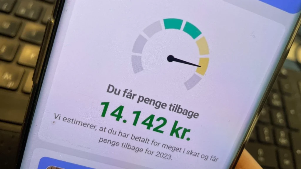 Nu kan du se om du får penge tilbage i Skat