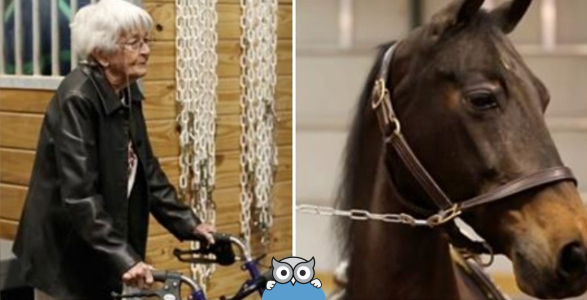 97-årige kvinde sniger sig ud i stalden til hesten: Se hvad der sker når hun hopper op i sadlen