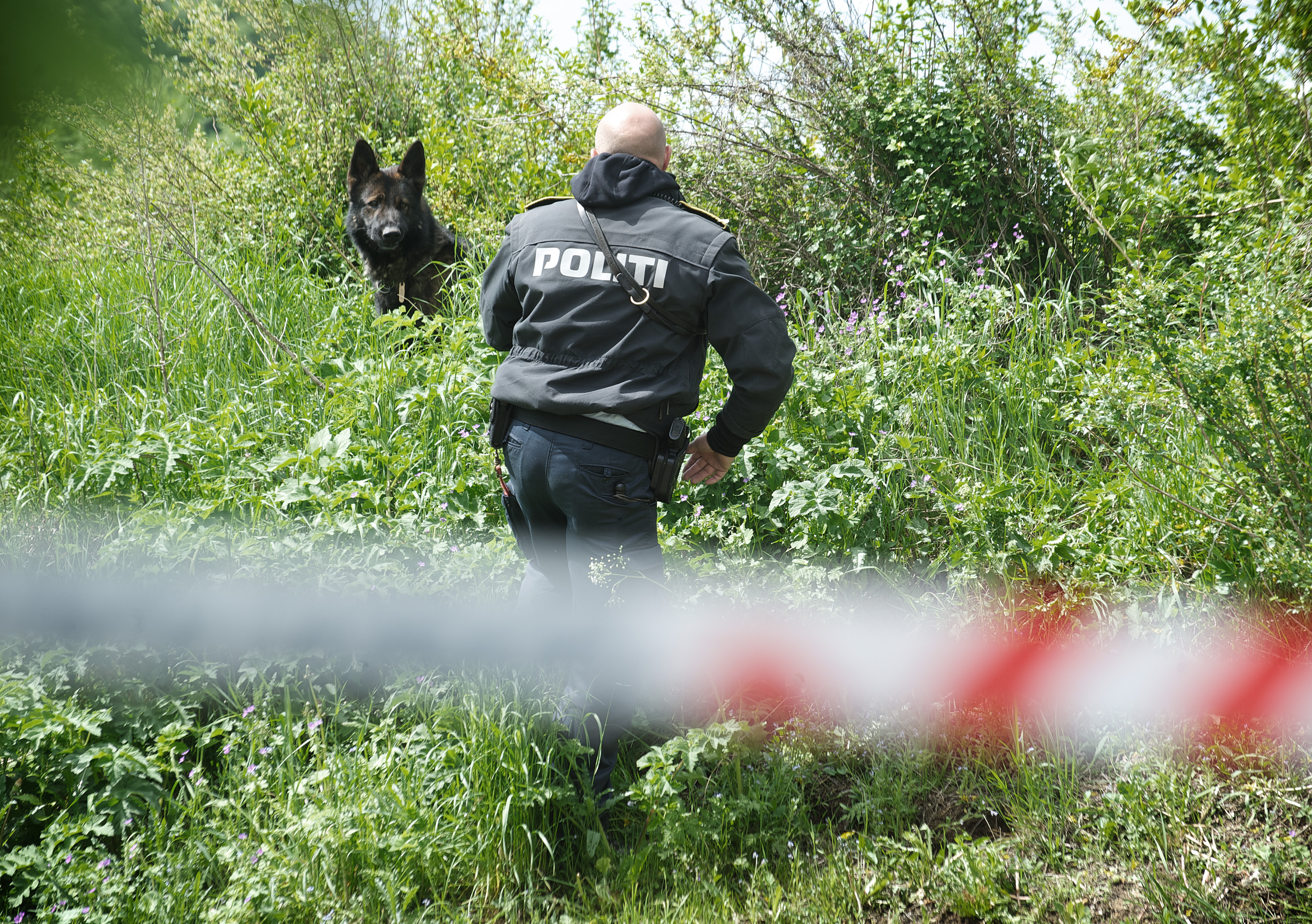 LIGE NU: Lig fundet på affaldssortering