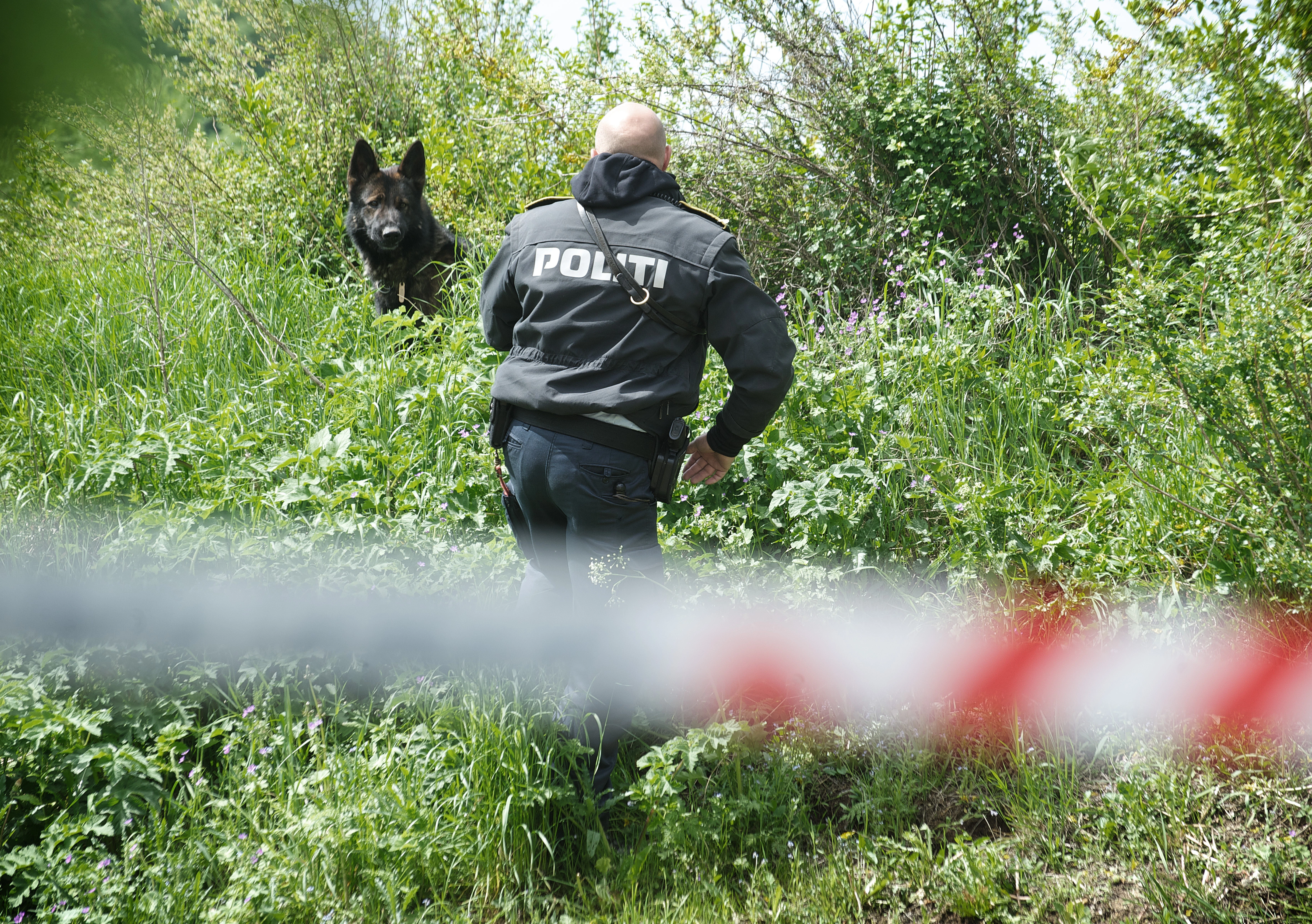 LIGE NU: Lig fundet på affaldssortering