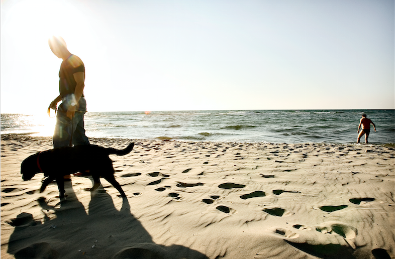 Derfor vrimler det med ægte menneskeknogler på dansk strand