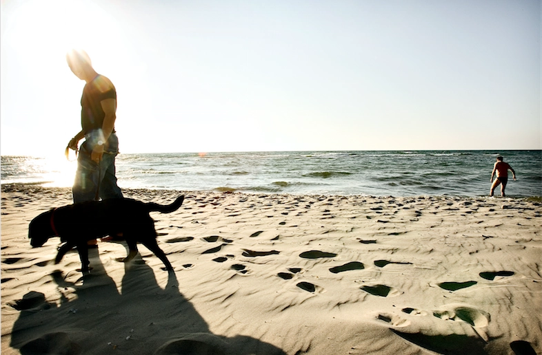 Derfor vrimler det med ægte menneskeknogler på dansk strand
