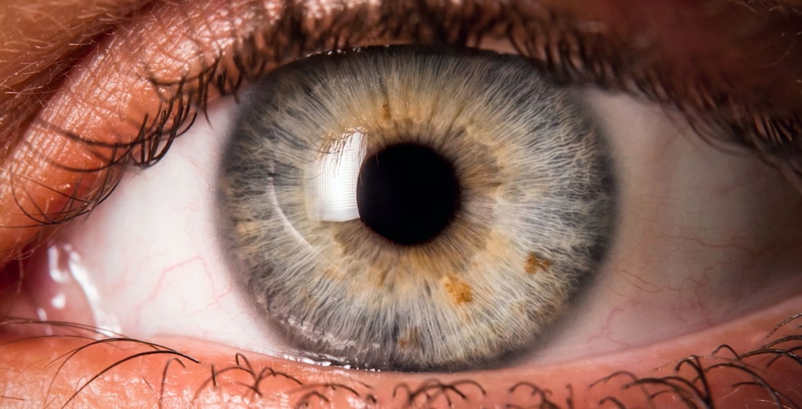 Forskere afslører: Glem alt om intelligens – denne type mennesker er de klogeste