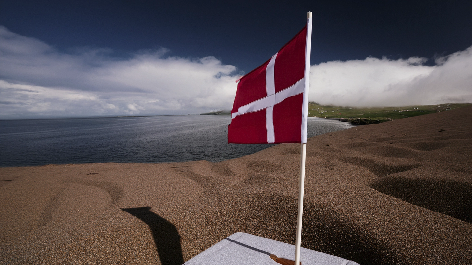 Fugleinfluenza har ramt Danmark: Syg and fundet midt i København