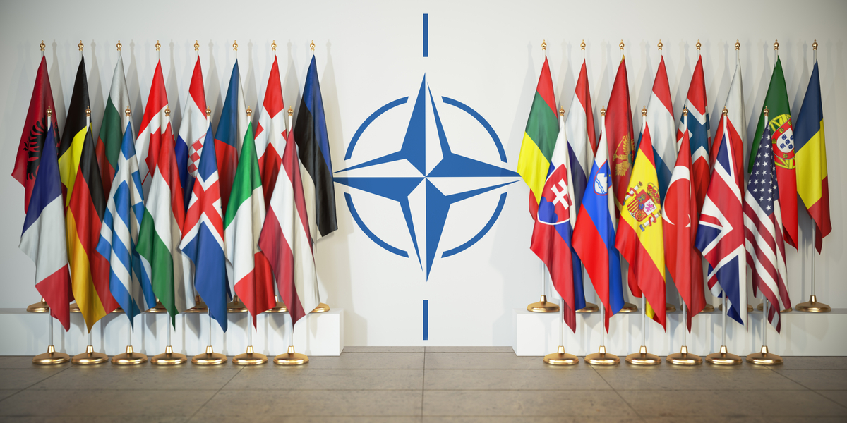 Finland vil melde sig ind i NATO