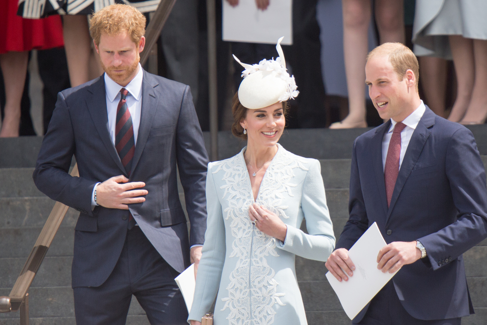 Ny bog giver svar: Derfor blev Harry og William uvenner