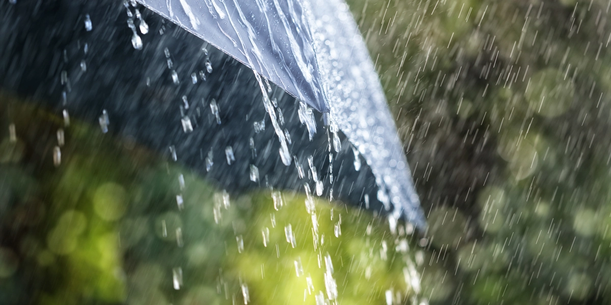 DMI med trist sommerprognose: Mere regnfuld end normalt