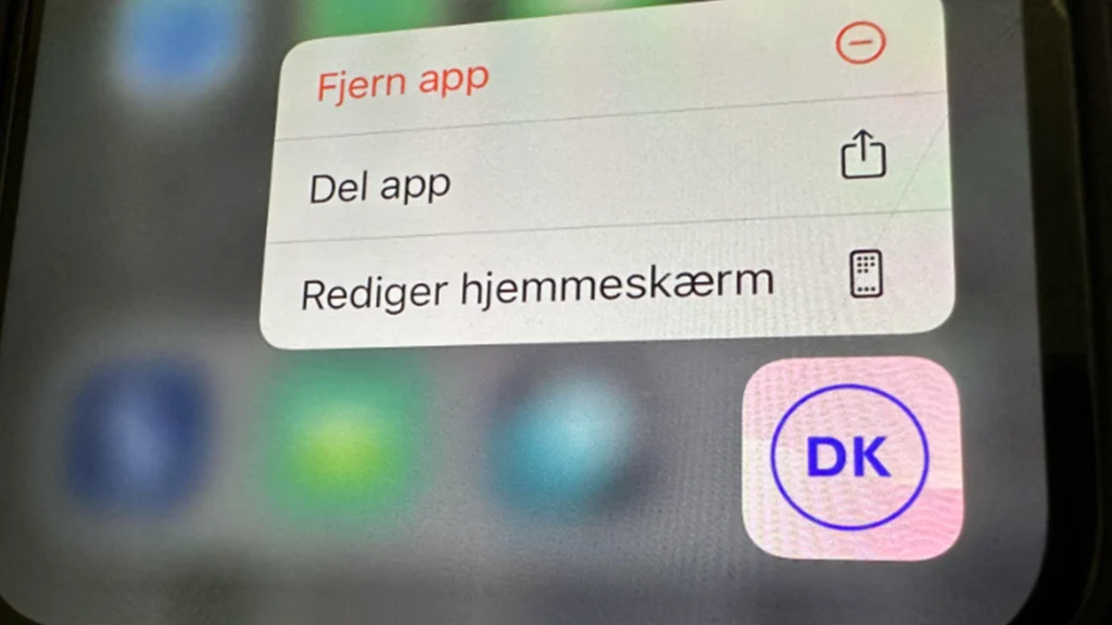 Fra den 1. januar 2025 bliver det muligt: Vigtig besked om det digitale kørekort har set dagens lys