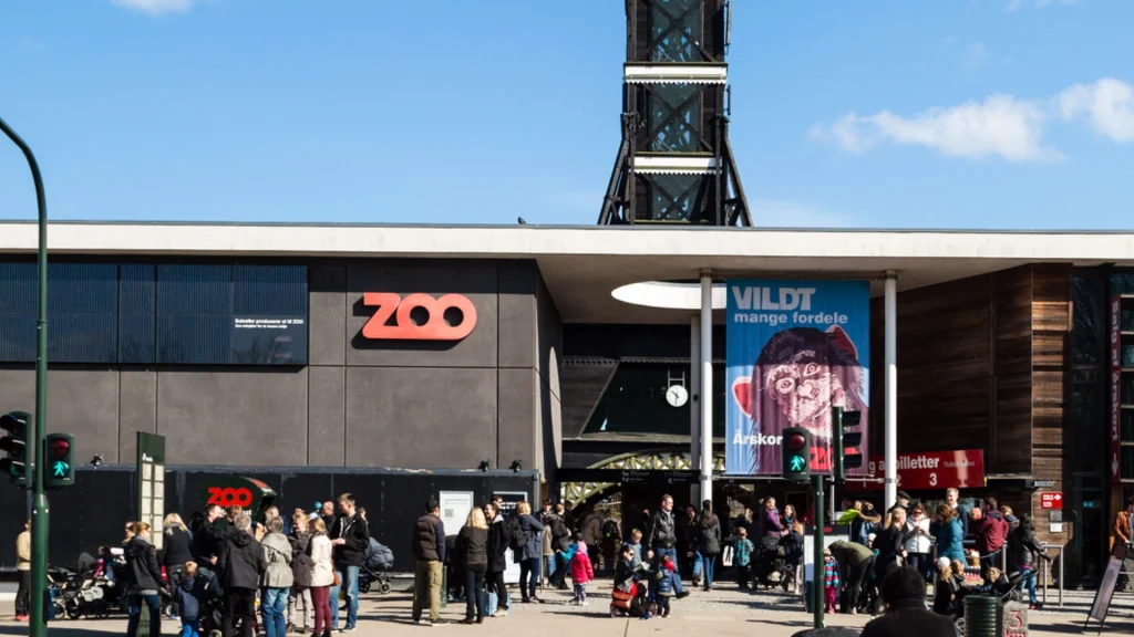 Nu deler København Zoo deres ‘hemmelige’ strategi