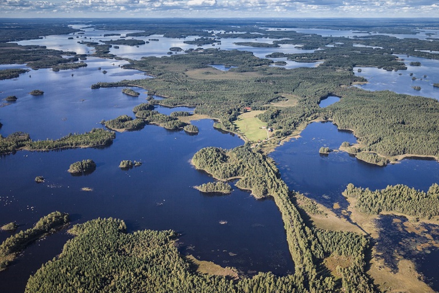 Vildmarksfeber i Sverige
