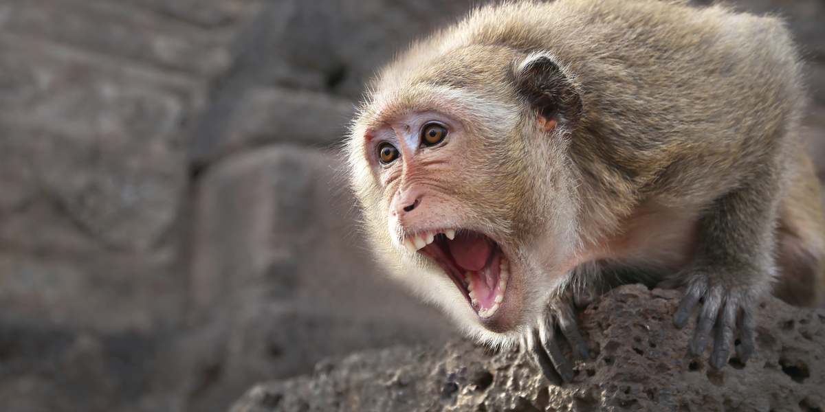Aber tvinger mand i døden