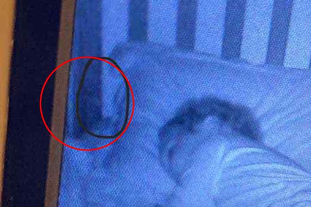 Skræmt mor opdager noget mistænkeligt på babyalarmen: Da hun ser godt efter, får hun et endnu større chok