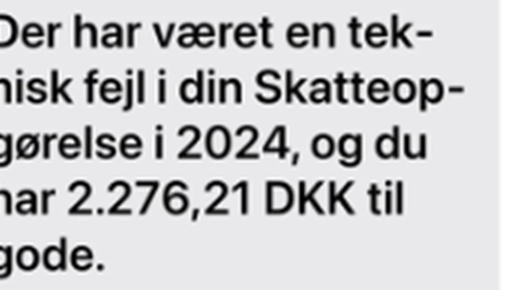 Er du blandt? Advarsel udsendes om fejl i skatteopgørelsen
