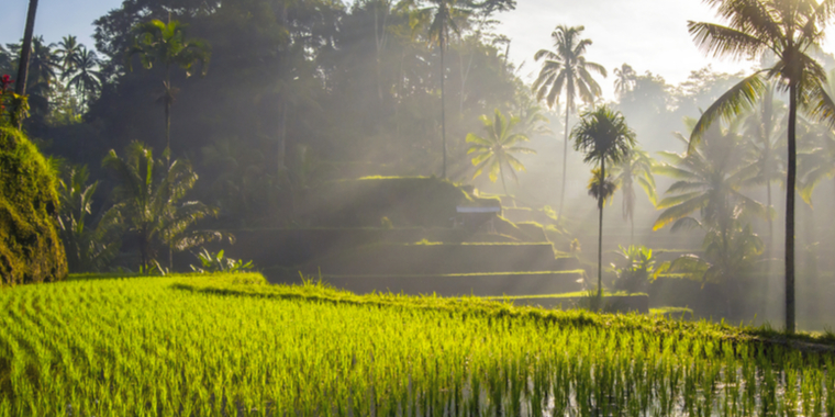 Turistforbud resten af året: Her kan du kun drømme dig til