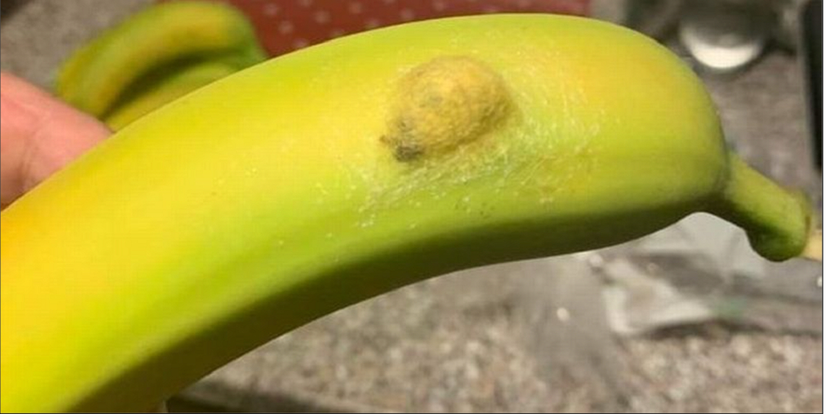 Alles værste mareridt: Mor chokeret over hendes fund i en banan fra det lokale supermarked