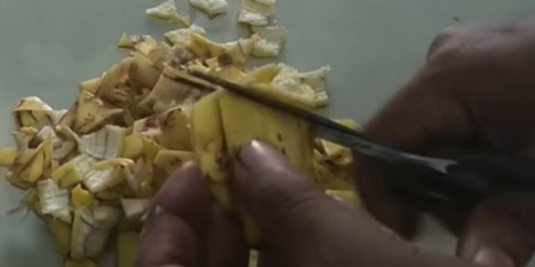 Derfor bør du aldrig smide dine bananskræller ud