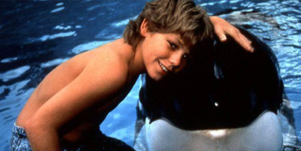 Han havde hovedrollen i den populære film ‘Befri Willy’: Her er han i dag