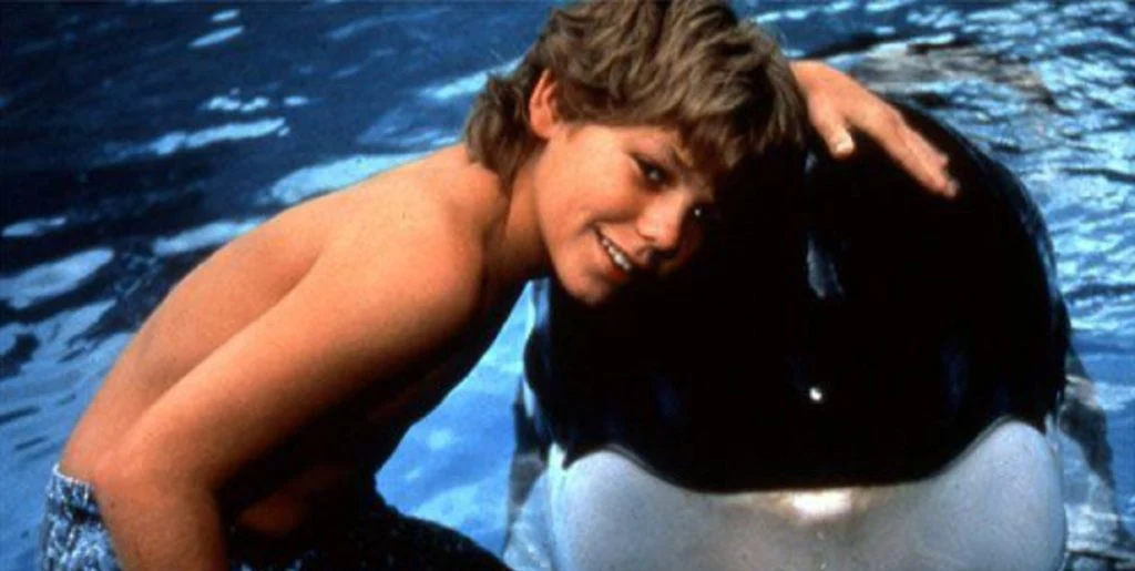 Han havde hovedrollen i den populære film ‘Befri Willy’: Her er han i dag
