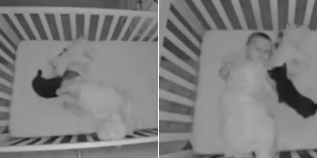 Babykamera registrerer bevægelse i sengen: Mor får et chok over at opdage, hvem der er i tremmesengen