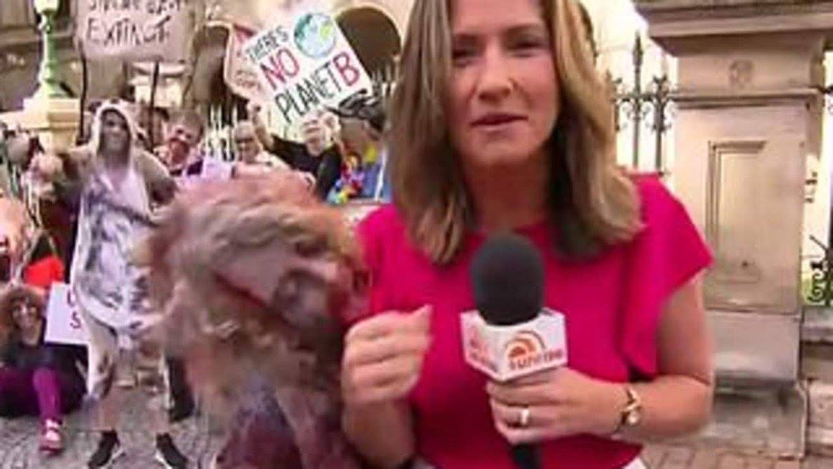 TV-reporter bidt af ‘zombie’
