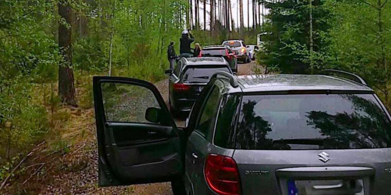Drengestreger: Lokkede bilister helt ud i skoven med falske vejskilte