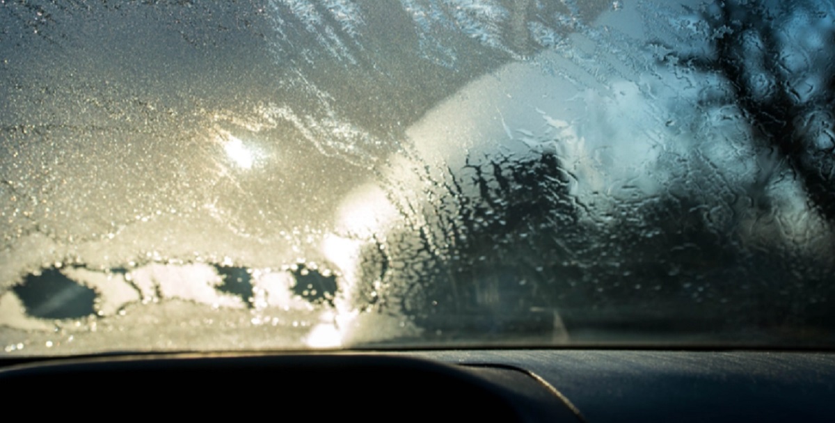 Mange danskere glemmer det: Kan give frakendelse af kørekortet