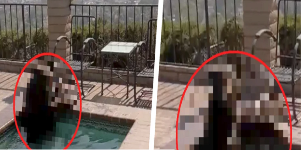 Kvinde går ud i sin have: Da hun kigger i poolen, ringer hun straks til politiet