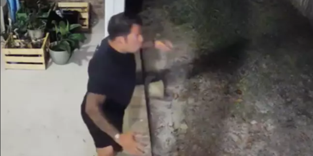 Bjørn jagter families hund: Se så hvad ejeren gør