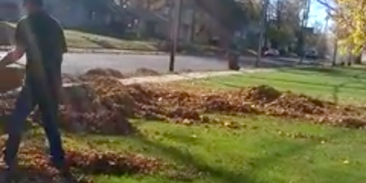 Brians trick er set af over 10 millioner: Sådan fjerner du blade i din have på et øjeblik