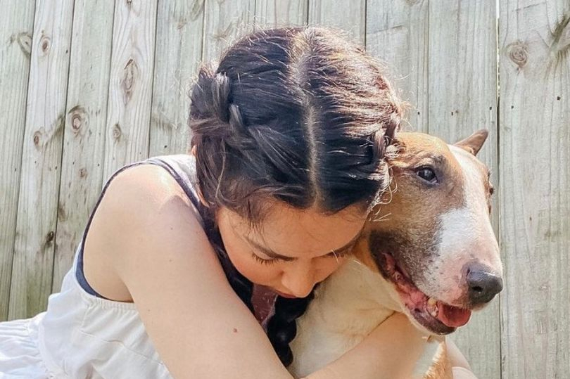 Følte sig tvunget til at aflive sin hund: Nu bliver de lagt for had