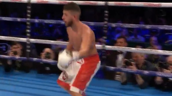 Sjovt: Bokser provokerede helt vildt – Så blev der taget hævn