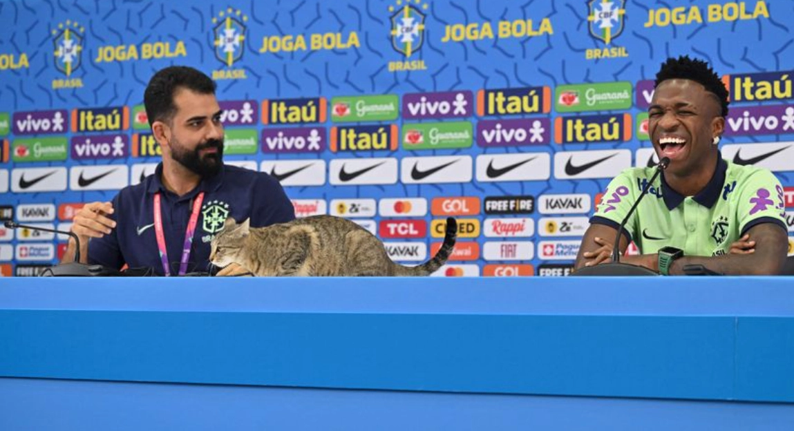 Groteske scener ved pressemøde ved VM i Qatar: “Jeg havde kastet mikrofonen efter ham!”