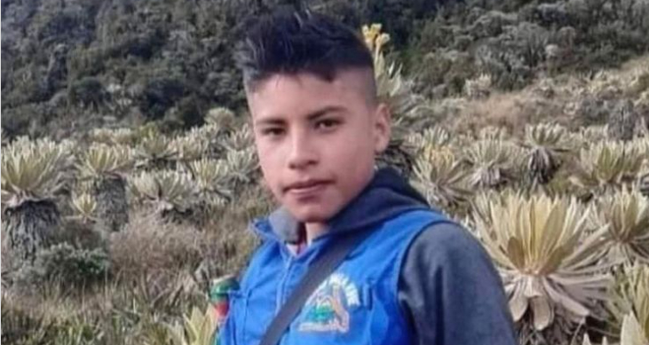 Flere eksperter udtrykker bekymring efter brutalt mord på 14-årig aktivist