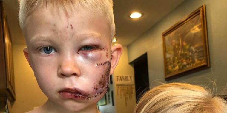 Kan du huske Bridger? Sådan ser han ud i dag