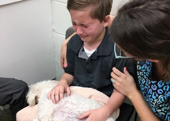 Familiens hund skal aflives – Så siger deres adoptivsøn noget som får alle til at stoppe op