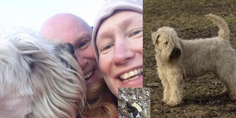 52-årige Carina gik tur med sin hund: Da hun opdagede hundelorten brød hun ud i grin