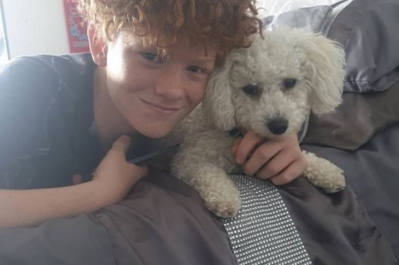 Bedstefar lavede fejl i julemaden: Det kostede 12-årigt barnebarn livet