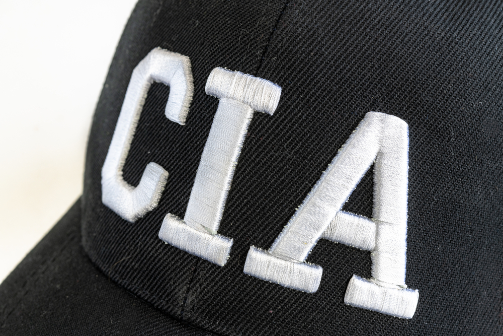 CIA med besynderlig udmelding: I Danmark gør man sådan her